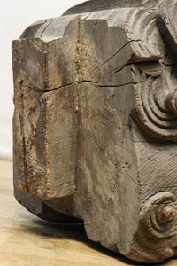 時代の枯れた味わいに包まれた象の木鼻 DC6705