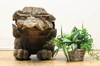 時代の枯れた味わいに包まれた象の木鼻 DC6705