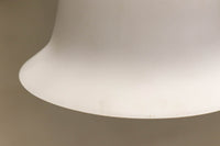 裾が綺麗に広がるエレガントな電笠 DC6714