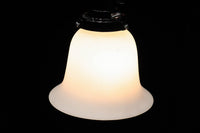 裾が綺麗に広がるエレガントな電笠 DC6714