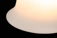 裾が綺麗に広がるエレガントな電笠 DC6714