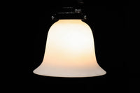 裾が綺麗に広がるエレガントな電笠 DC6714