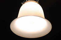 裾が綺麗に広がるエレガントな電笠 DC6714