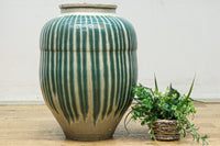 Shigarakiyaki pot DC6773