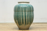 Shigarakiyaki pot DC6773