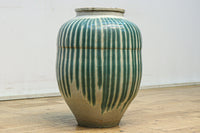 Shigarakiyaki pot DC6773