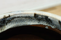 Shigarakiyaki pot DC6773