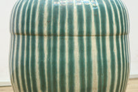 Shigarakiyaki pot DC6773