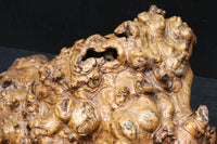 Antique tools DC6785