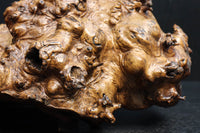 Antique tools DC6785