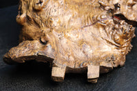 Antique tools DC6785