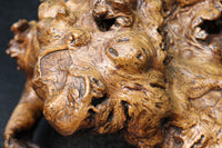 Antique tools DC6785