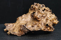 Antique tools DC6785