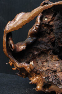 Antique tools DC6785