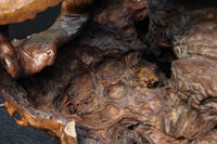 Antique tools DC6785