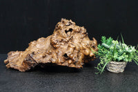 Antique tools DC6785