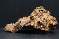 Antique tools DC6785