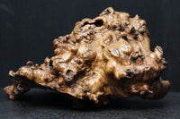 Antique tools DC6785