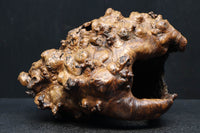 Antique tools DC6785