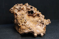 Antique tools DC6785