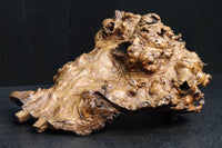 Antique tools DC6785