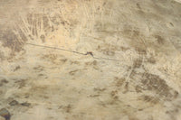 Antique tool (KoneBachi) DC6789a