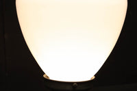 Ceiling light cover DC6816