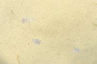 Antique tools DC6924