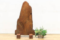 Antique tools DC6957