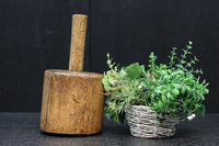 使い込まれた味わいある砧 DC7185