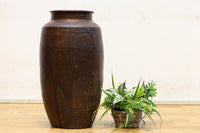 山野草が映えそうな素朴なな印象の唐津カメ DC7285