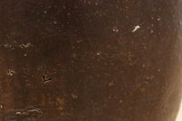 山野草が映えそうな素朴なな印象の唐津カメ DC7285