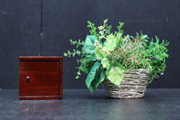 朱の色艶の美しい小箱 DC7325