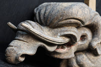 稀少サイズ!!立派な牙を持つ象の象鼻一対 DC7374ab 在庫2個一組