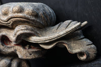 稀少サイズ!!立派な牙を持つ象の象鼻一対 DC7374ab 在庫2個一組