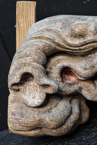 稀少サイズ!!立派な牙を持つ象の象鼻一対 DC7374ab 在庫2個一組