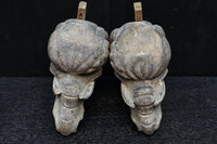 稀少サイズ!!立派な牙を持つ象の象鼻一対 DC7374ab 在庫2個一組