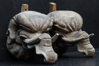 稀少サイズ!!立派な牙を持つ象の象鼻一対 DC7374ab 在庫2個一組