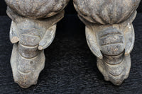 稀少サイズ!!立派な牙を持つ象の象鼻一対 DC7374ab 在庫2個一組