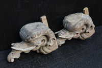 稀少サイズ!!立派な牙を持つ象の象鼻一対 DC7374ab 在庫2個一組