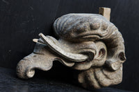 稀少サイズ!!立派な牙を持つ象の象鼻一対 DC7374ab 在庫2個一組