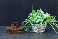 Antique tools DC7426