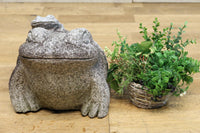 凛々しい表情をみせる親子ガエルの石像 DC7481