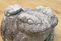 凛々しい表情をみせる親子ガエルの石像 DC7481