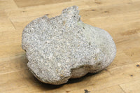 凛々しい表情をみせる親子ガエルの石像 DC7481