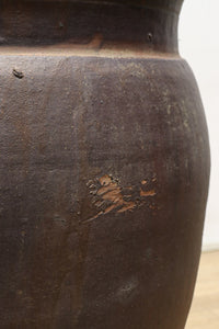 ずっしりと風格のある大型の唐津カメ DC7523