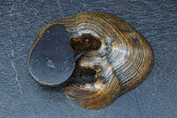 自然の雰囲気を活かした切り株の置台 DC7604