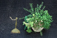 Antique tool (Hai-narashi) DC7686