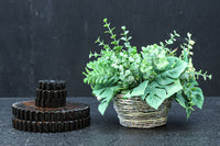 深みのある色彩の味わいある風合いが素敵な歯車セット DC7701 在庫5枚1組