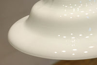 柔らかなシルエットで温かみのある電笠 DC7848